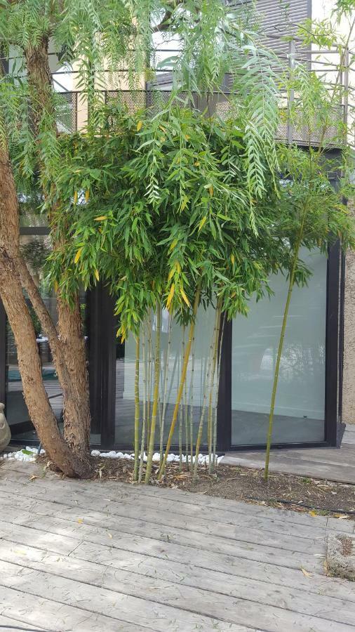 Les Aromatiques - Terrasse & Parking Prive A Villeneuve Les Avignon - Proche Golf Academy エクステリア 写真